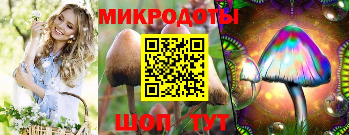 Псилоцибиновые грибы GOLDEN TEACHER  Галлюциногенные грибы Psilocybe  Вход с VPN  Алушта 