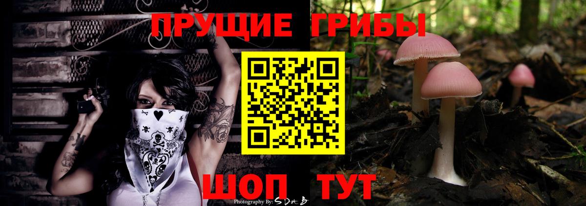 Псилоцибиновые грибы GOLDEN TEACHER Алушта